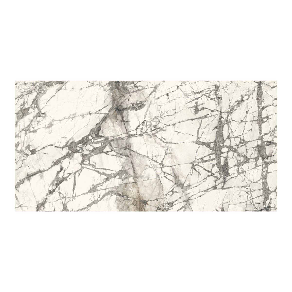 بورسلان لامع إيطالي |  مجموعة إمبريال من أريوستيا | 300 × 150 سم | رمادي رخامي