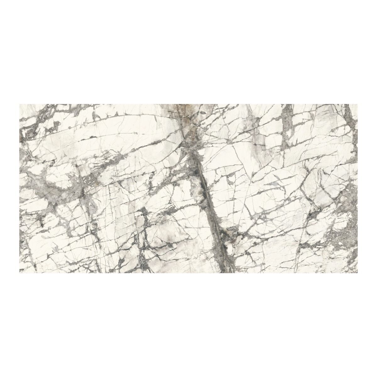 بورسلان لامع إيطالي |  مجموعة إمبريال من أريوستيا | 300 × 150 سم | رمادي رخامي